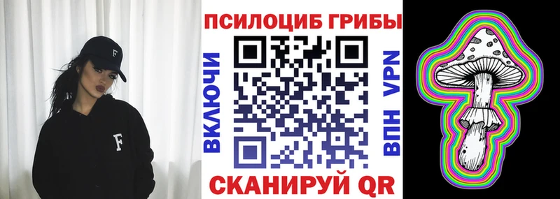мега как войти  Купино  Галлюциногенные грибы MAGIC MUSHROOMS 