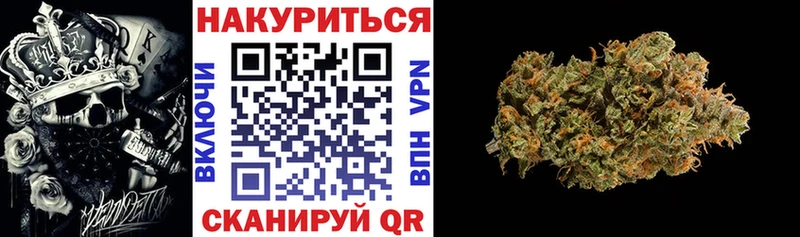 наркотики  Купино  сайты даркнета состав  Шишки марихуана Amnesia 